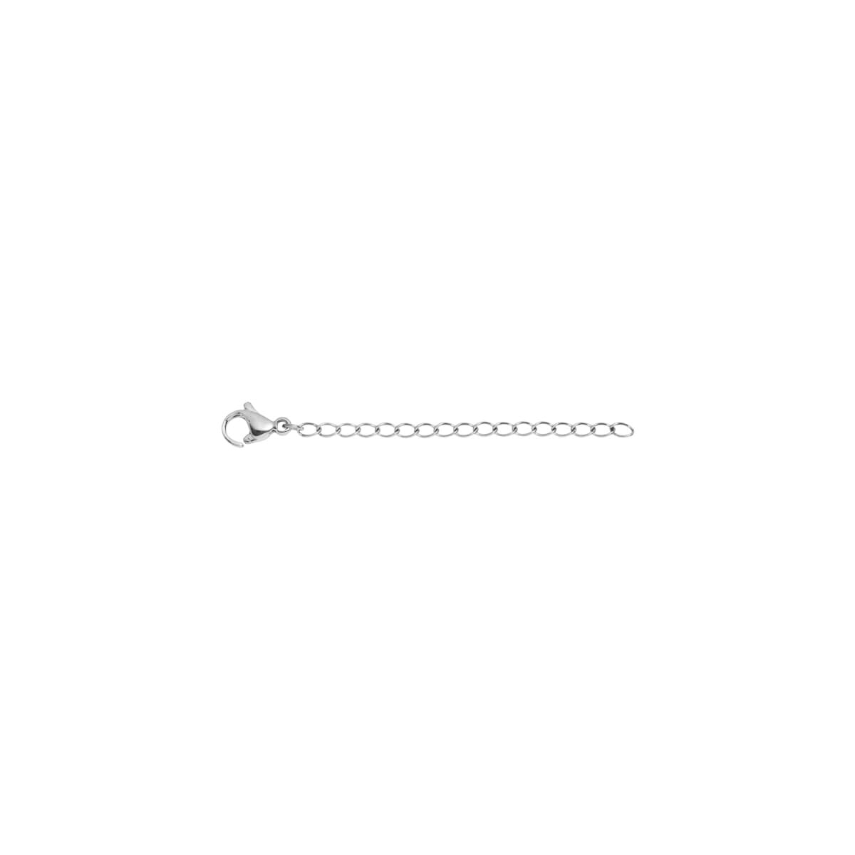 2-Inch Chain Extender (Silver) – Abbott Lyon