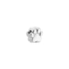 Paw Necklace Charm (Silver)