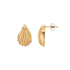 Rope Teardrop Stud Earrings (Gold)
