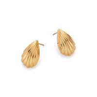 Rope Teardrop Stud Earrings (Gold)