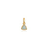 Droplet Birthstone Pendant (Gold)